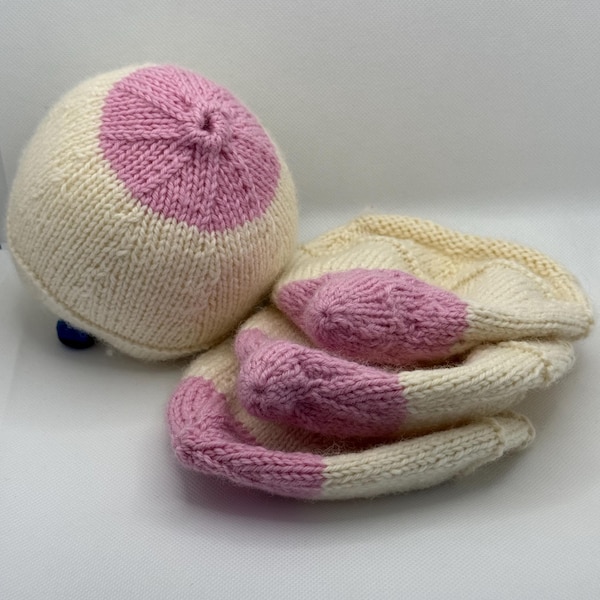 Breast model set with interchangeable nipples