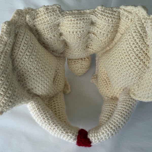 Crocheted female pelvis model